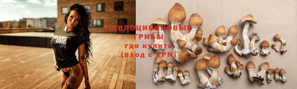 MDMA Михайловск