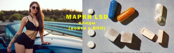 мяу мяу мука Михайлов