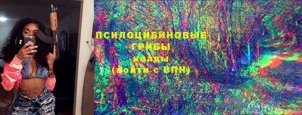 ГАЛЛЮЦИНОГЕННЫЕ ГРИБЫ Михайловка
